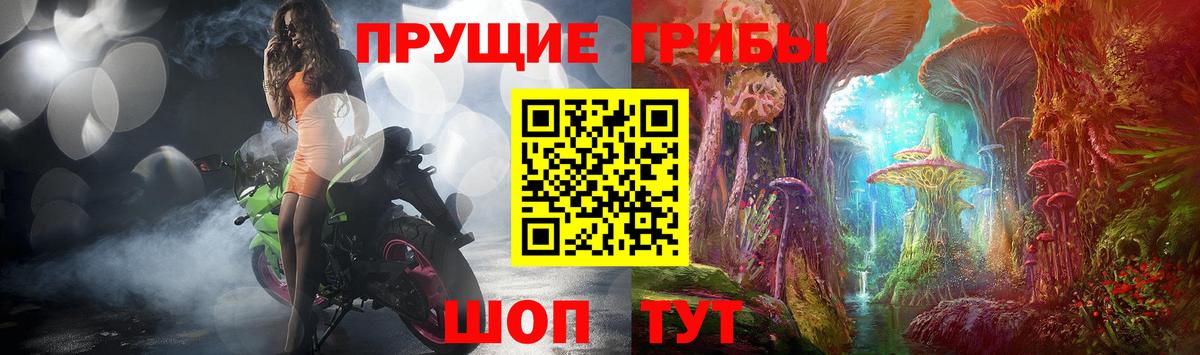 Советская Гавань  продажа наркотиков  Вход с VPN  Галлюциногенные грибы MAGIC MUSHROOMS 